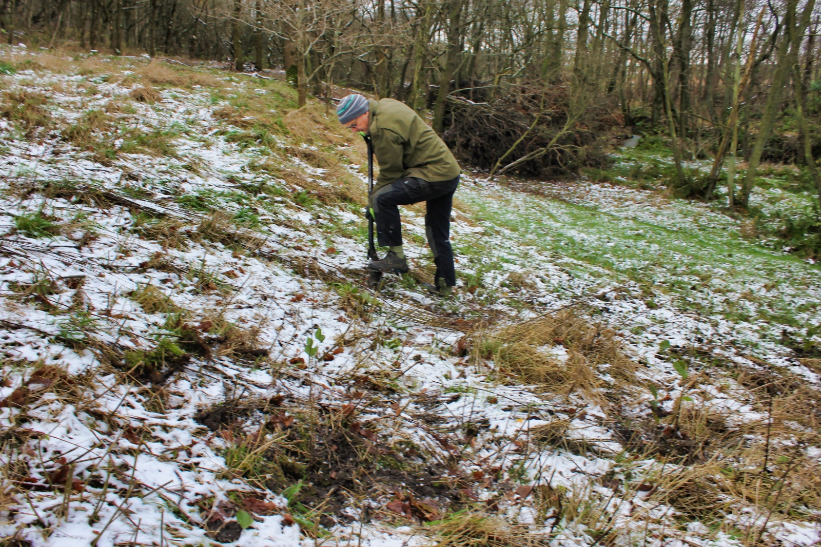 23. november - plantning